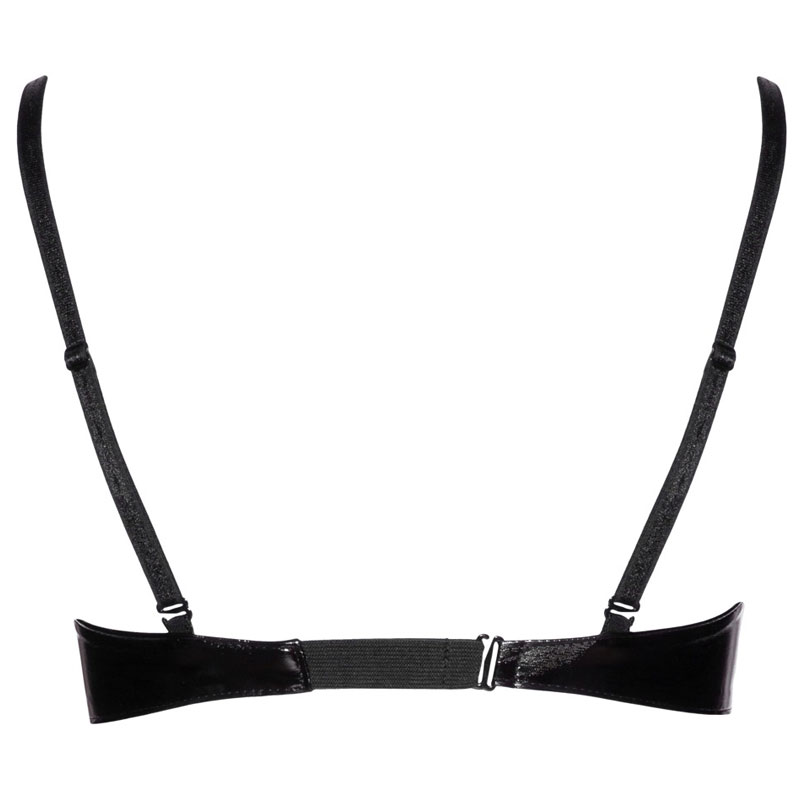 BH aus Lack Detail hinten